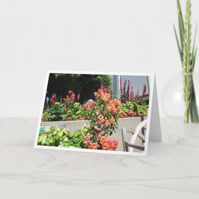 Tarjeta Salmones en la floración (Anverso)