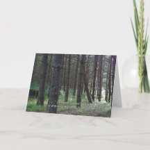 Salmos 96:12 Inspiradores