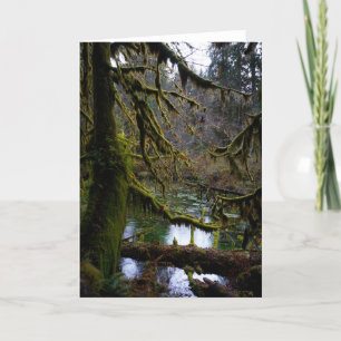 Tarjeta Salón de Mosses