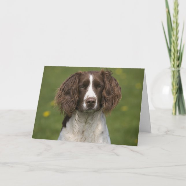 Tarjeta Saltador alerta (Anverso)