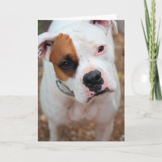 Tarjeta Salto (Anverso)