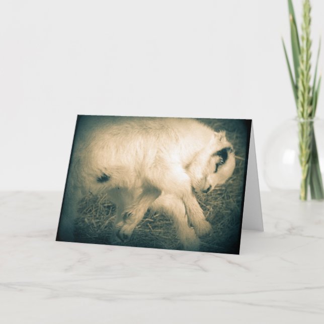 Tarjeta Salto De Alegría (Anverso)