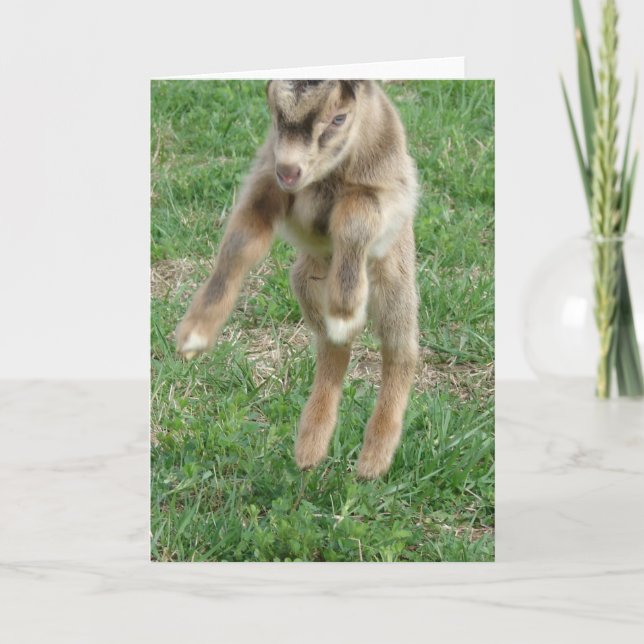 Tarjeta Salto De Alegría (Anverso)