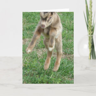 Tarjeta Salto De Alegría