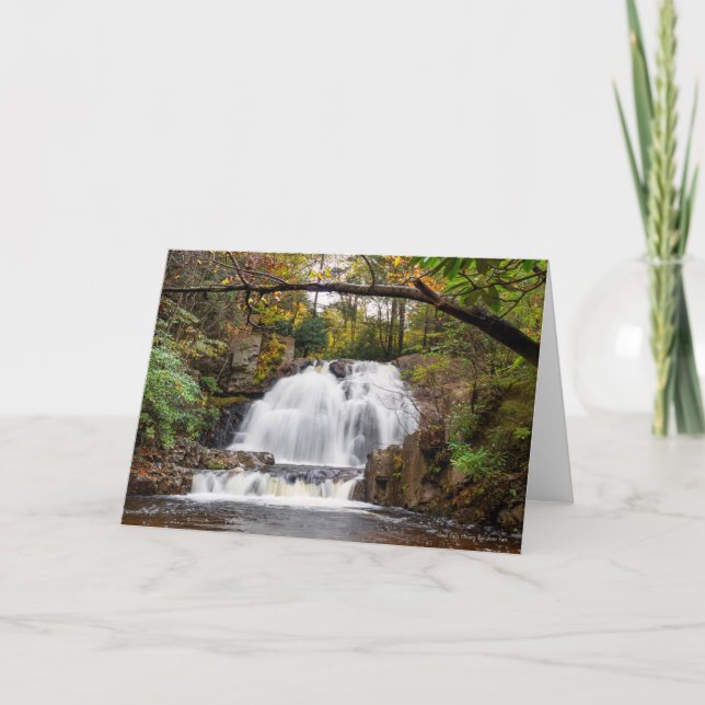 Tarjeta Salto de Hawk en otoño (Anverso)