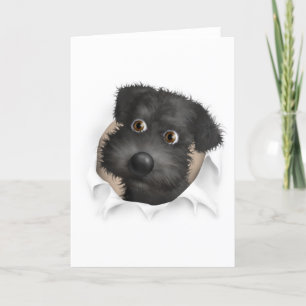 Tarjeta Salto de Schnoodle (negro)