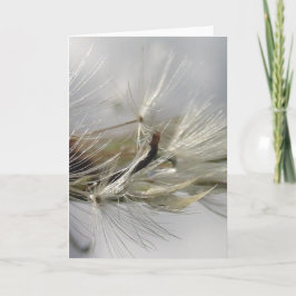 Tarjeta Saltos de agua de Dandelion plateados al sol