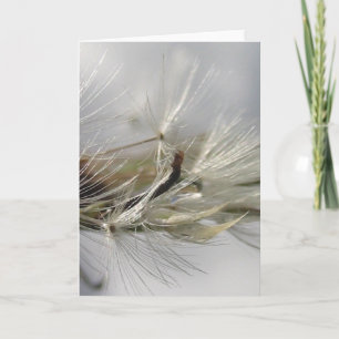 Tarjeta Saltos de agua de Dandelion plateados al sol