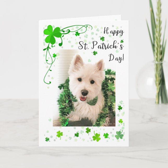 Tarjeta Salud y felicidad de Westie del día de St Patrick (Anverso)