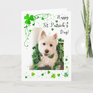 Tarjeta Salud y felicidad de Westie del día de St Patrick