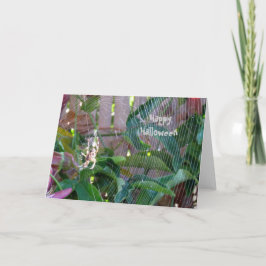 Tarjeta - Saludo - Araña en la web