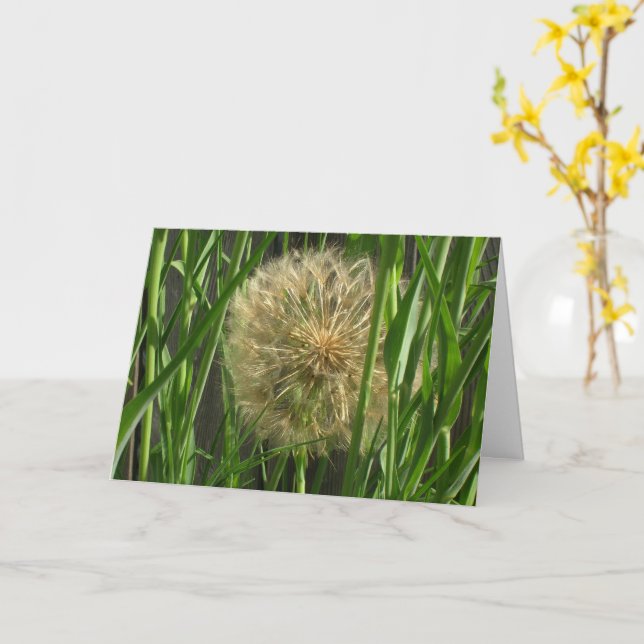 Tarjeta - Saludo - Bola de pelusa (flor amarilla)