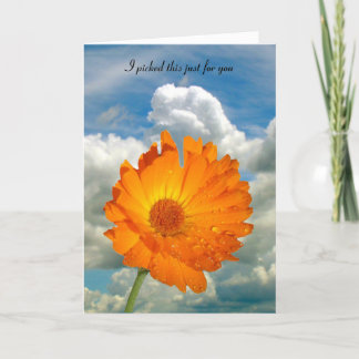 Tarjeta - saludo - Calendula en Stem