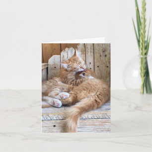 Tarjeta Saludo de amor de gatito