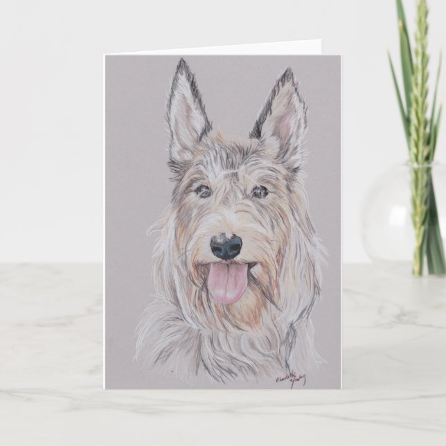 Tarjeta Saludo de arte del perro Berger Picard o Picardy (Anverso)