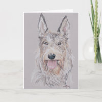 Saludo de arte del perro Berger Picard o Picardy