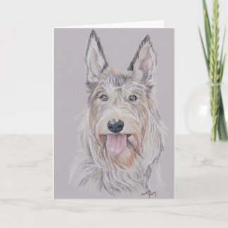 Tarjeta Saludo de arte del perro Berger Picard o Picardy