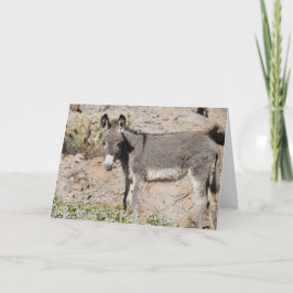 Tarjeta Saludo de Burro Salvaje