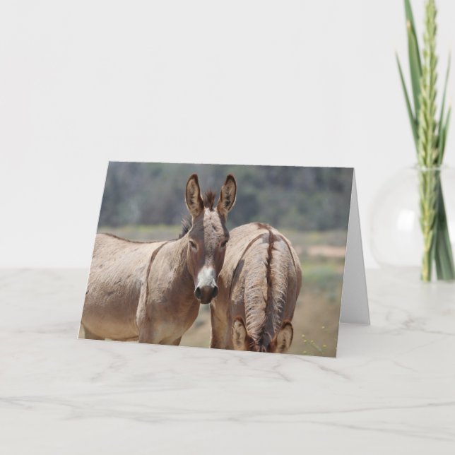 Tarjeta Saludo de burros salvajes (Anverso)