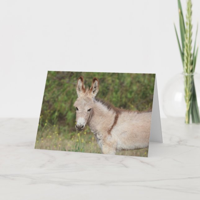 Tarjeta Saludo de Burros Salvajes (Anverso)