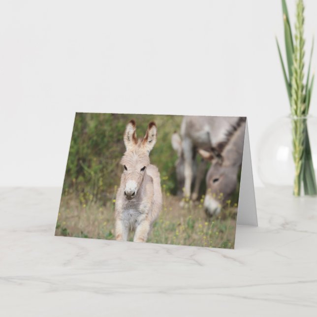 Tarjeta Saludo de Burros Salvajes (Anverso)
