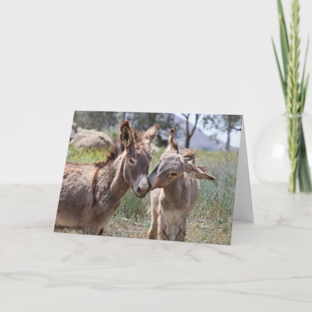 Tarjeta Saludo de Burros Salvajes (Anverso)
