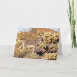 Tarjeta Saludo de burros salvajes
