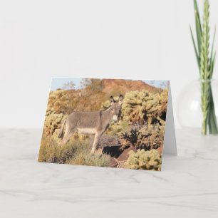 Tarjeta Saludo de burros salvajes