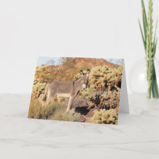 Tarjeta Saludo de burros salvajes