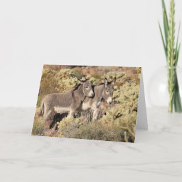 Tarjeta Saludo de Burros Salvajes