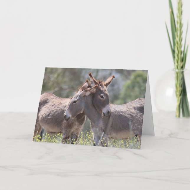 Tarjeta Saludo de burros salvajes (Anverso)