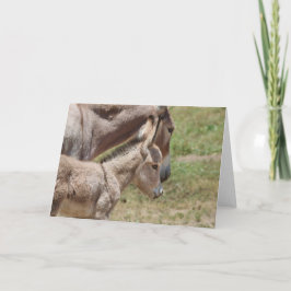 Tarjeta Saludo de Burros Salvajes