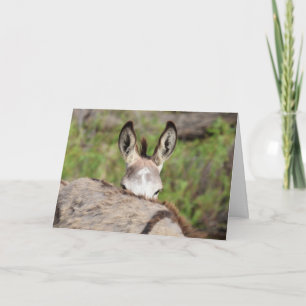 Tarjeta Saludo de Burros Salvajes