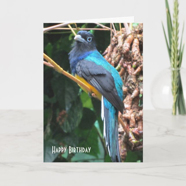 Tarjeta Saludo de cumpleaños de pájaro azul con cola larga (Anverso)