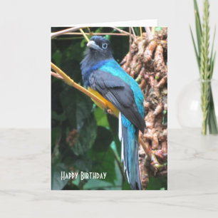 Tarjeta Saludo de cumpleaños de pájaro azul con cola larga