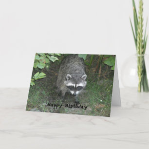 Tarjeta Saludo de cumpleaños del mapache inteligente