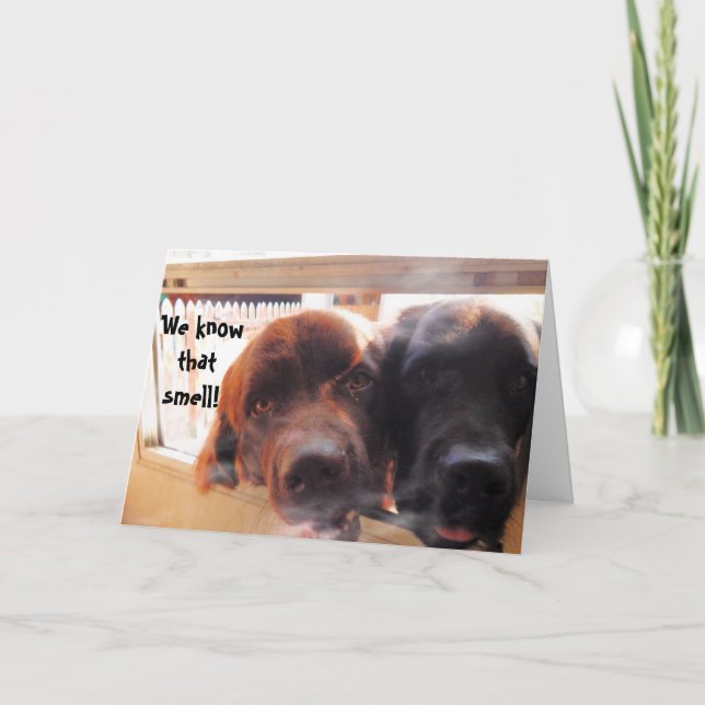 Tarjeta Saludo de cumpleaños ~ Humor de perro (Anverso)
