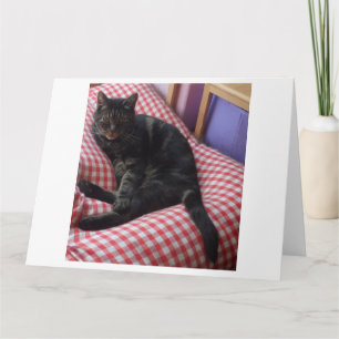 Tarjeta Saludo de Dave lindo