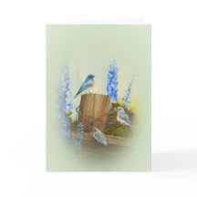 Saludo de familia Bluebird