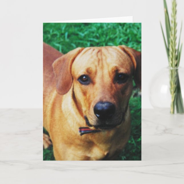 Tarjeta Saludo de Foto Personalizada (Anverso)