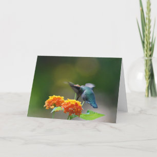 Tarjeta Saludo de Hummingbird