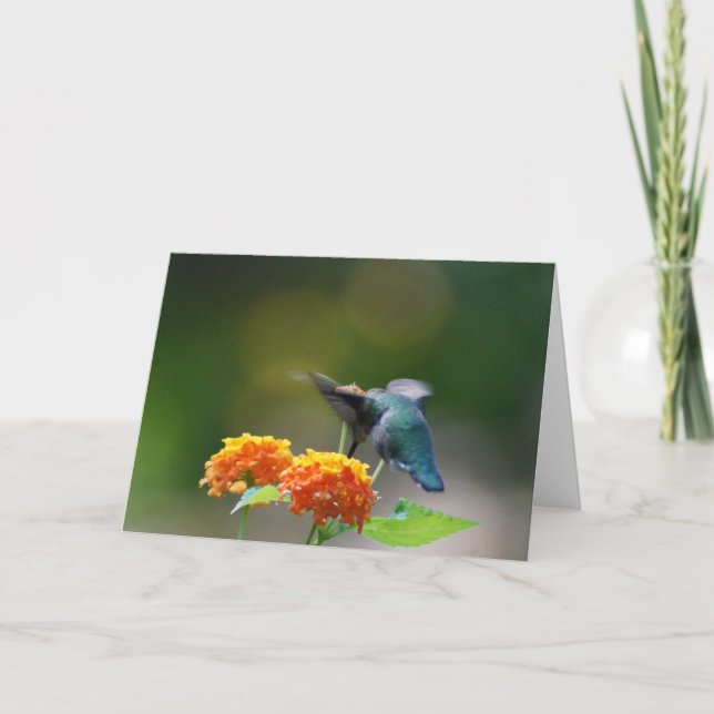 Tarjeta Saludo de Hummingbird (Anverso)
