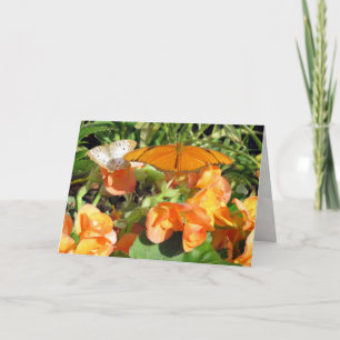 Tarjeta Saludo de Julia y mariposas de pavo real blancas