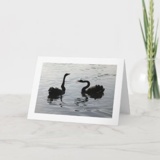Tarjeta Saludo de los Cisne Negros (de borde ancho)