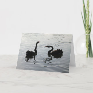 Tarjeta Saludo de los cisnes negros