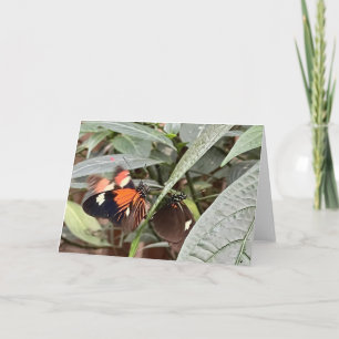 Tarjeta Saludo de Mariposa Colorida