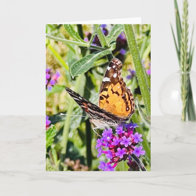 Tarjeta Saludo de Mariposa Colorida  (Anverso)