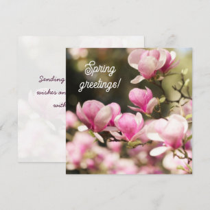 Tarjeta Saludo de primavera de magnolia soñadora suave