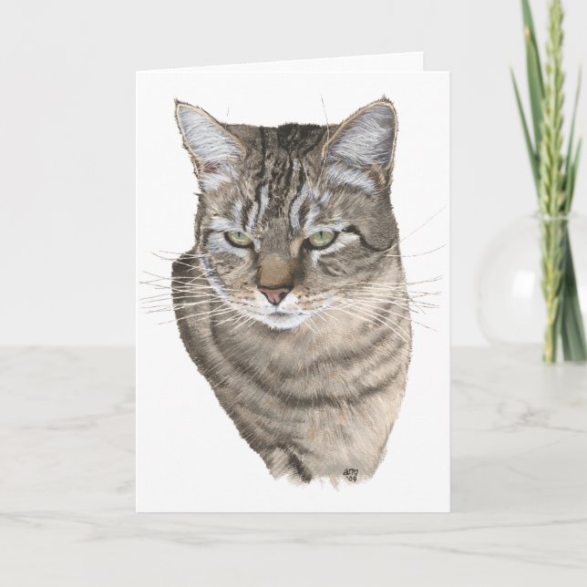 Tarjeta Saludo de Tabby Cat Head Study (Anverso)