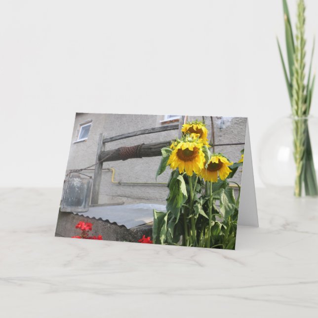 Tarjeta Saludo del girasol (Anverso)